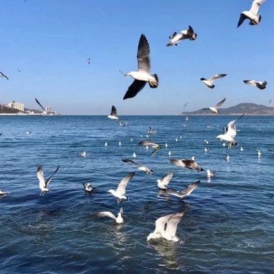 عارش نذیم avatar